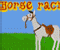Horse Racin - Jogo de Desporto 